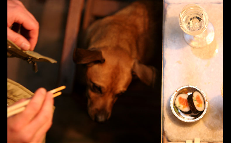 sushi event